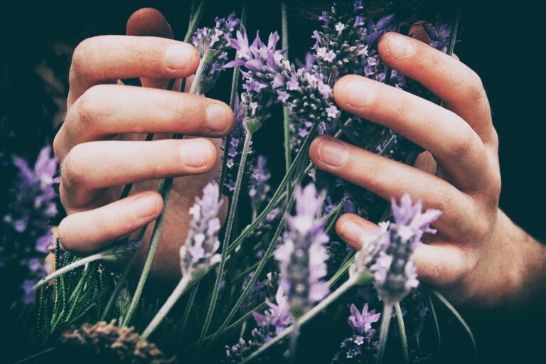 vero photoart 9OflqNWhcrE unsplash